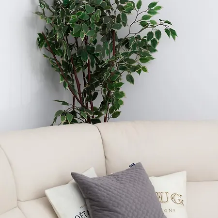 Apartman Spacious & Bright Family In By Renters Gdańsk
